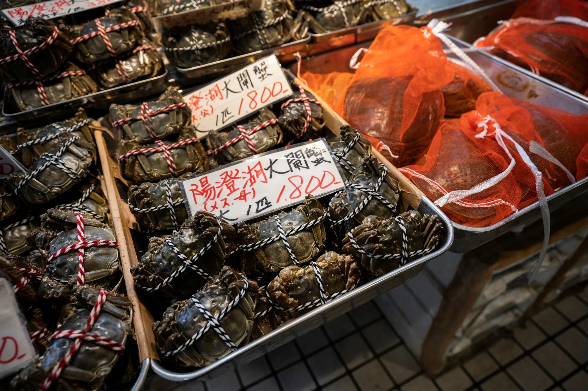 Three Shadow Strand Bridge experiences — tasting, broth sitting, kitchen session